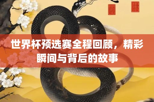 世界杯预选赛全程回顾，精彩瞬间与背后的故事眉山市正发家政服务有限公司
