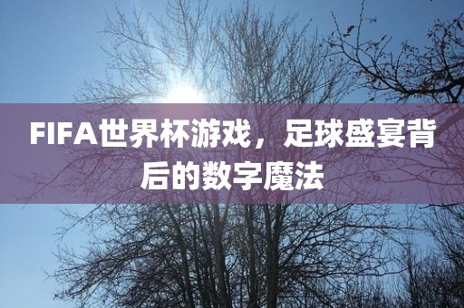FIFA世界杯游戏，足球盛宴背后的数字眉山市正发家政服务有限公司魔法