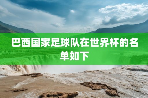 巴西国家足球队在世界杯的名单如下眉山市正发家政服务有限公司