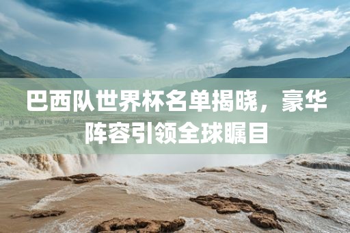 巴西队眉山市正发家政服务有限公司世界杯名单揭晓，豪华阵容引领全球瞩目