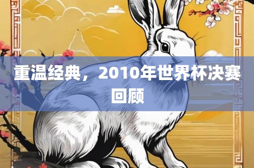 重温经典，2010年世界杯决赛回顾眉山市正发家政服务有限公司