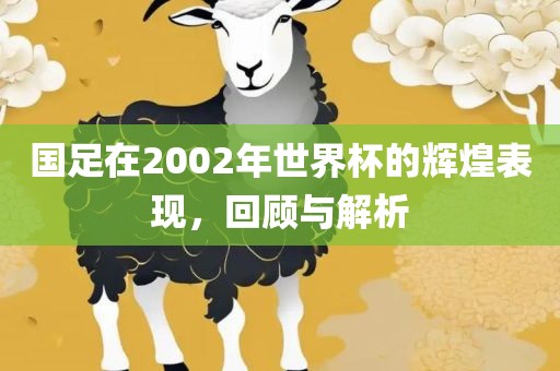 国足在2002年世界杯的辉煌表现，回顾与解析