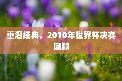 重温经典，2010年世界眉山市正发家政服务有限公司杯决赛回顾