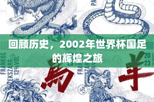 回顾历史，2002年世界杯国足的辉煌之旅眉山市正发家政服务有限公司