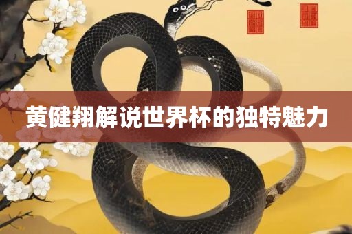 黄健翔解说世界杯的独特魅力眉山市正发家政服务有限公司