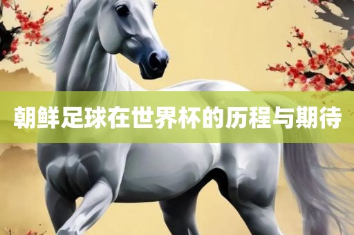 朝鲜足球在世界杯的历程与期待眉山市正发家政服务有限公司