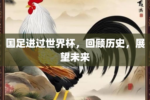 国足进过世界杯，回顾历史，展望未来眉山市正发家政服务有限公司