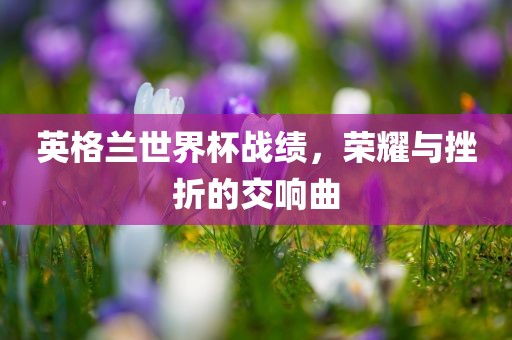 英格兰世界杯战绩，荣耀与挫折的交响曲眉山市正发家政服务有限公司