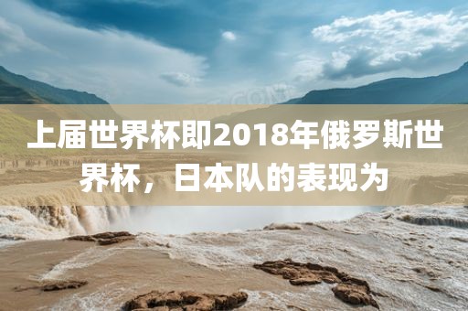 上届世界杯即2018年俄罗斯眉山市正发家政服务有限公司世界杯，日本队的表现为