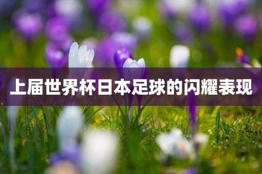 上届世界杯日本足球的闪耀表现
