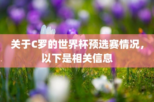 关于C罗的世界杯预选赛情况，以下是相关信息