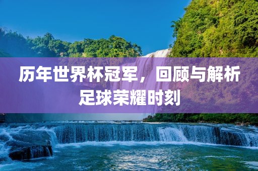 历年世界杯冠军，回顾与解析足球荣耀时刻眉山市正发家政服务有限公司