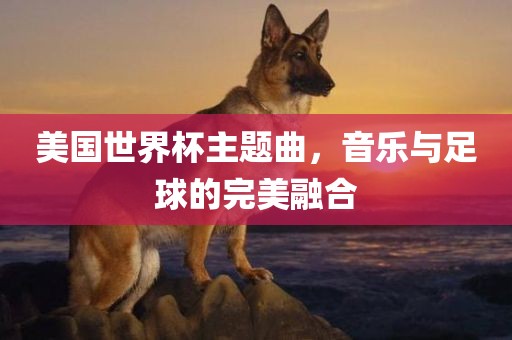 美国世界杯主题曲，音乐与足球的完美融合眉山市正发家政服务有限公司