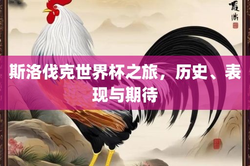 斯洛伐克世界杯之旅，历史、表现与期待眉山市正发家政服务有限公司