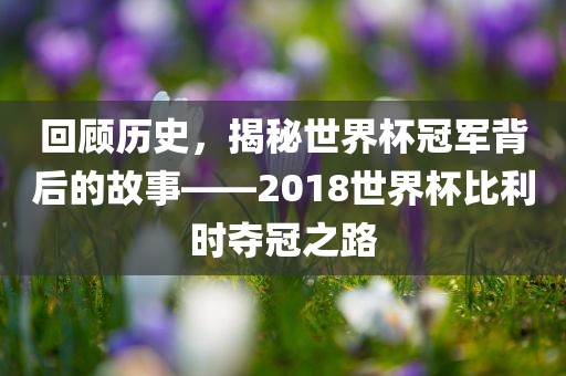 回顾历史，揭秘世界杯冠军背后的故事——2018世界杯比利时夺冠之路眉山市正发家政服务有限公司
