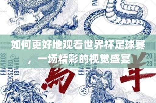 如何更好地观看世界杯足球赛，一场精彩的视觉盛宴眉山市正发家政服务有限公司