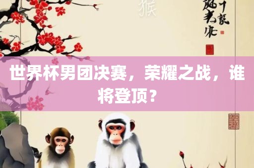 世界杯男团决赛，荣耀之战眉山市正发家政服务有限公司，谁将登顶？