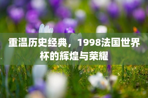 重眉山市正发家政服务有限公司温历史经典，1998法国世界杯的辉煌与荣耀