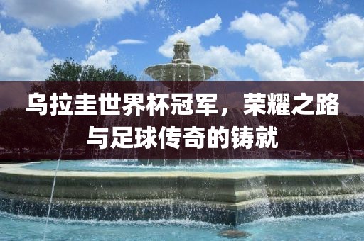 乌拉圭世界杯冠军，荣耀之路与足球传奇的铸就眉山市正发家政服务有限公司