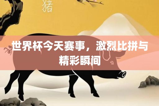 眉山市正发家政服务有限公司世界杯今天赛事，激烈比拼与精彩瞬间