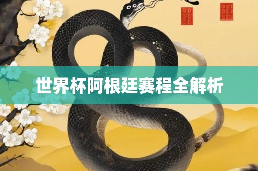 世界杯阿根眉山市正发家政服务有限公司廷赛程全解析
