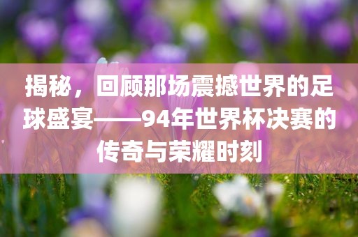 揭秘，回顾那场震撼世界的足球盛宴——94年世界杯决赛的传奇与荣耀时刻眉山市正发家政服务有限公司