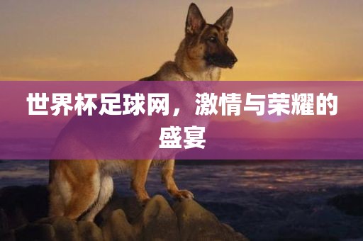 世界杯足球网，激情与荣耀的盛宴眉山市正发家政服务有限公司