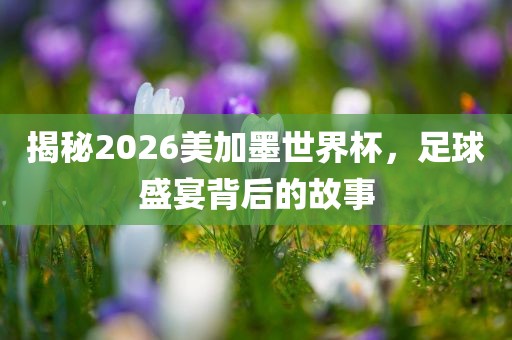 揭秘20眉山市正发家政服务有限公司26美加墨世界杯，足球盛宴背后的故事
