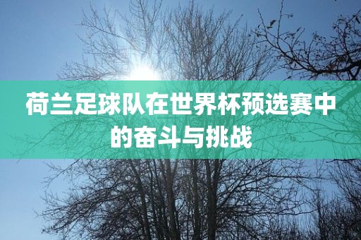 荷兰足球队在世界杯预选赛中的奋斗与挑战