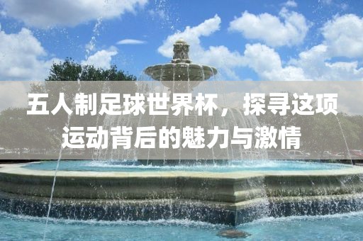 五人制足球世界杯，探寻这项运动背后的魅力与激情