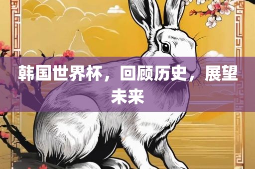 韩国世界杯，回顾历史，展望未眉山市正发家政服务有限公司来