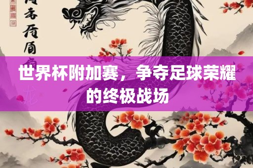 世界杯附加赛，争夺足球荣耀的终极战场