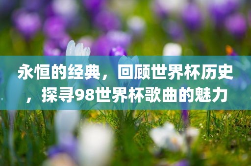 永恒的经典，回顾世界杯历史，探寻98世界杯歌曲的魅力眉山市正发家政服务有限公司