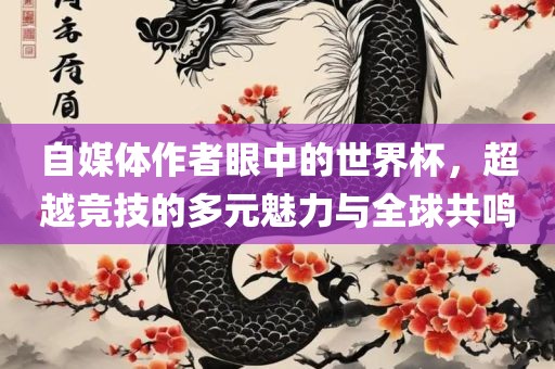 自媒体作者眼中的世界杯，超越竞技的多元魅力与全球共鸣眉山市正发家政服务有限公司
