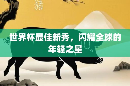 世界杯最佳新秀，闪眉山市正发家政服务有限公司耀全球的年轻之星