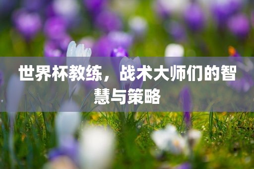 世界杯教练，战术大师们的智慧与策略