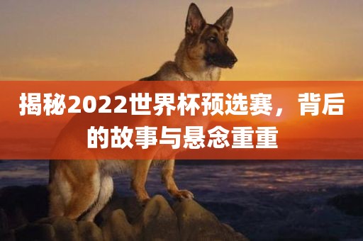 揭秘2022世界杯预选赛，背后的故事与悬念重重眉山市正发家政服务有限公司