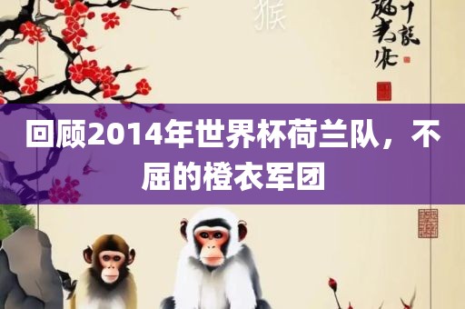 回顾2014年世界杯荷兰队，不屈的橙眉山市正发家政服务有限公司衣军团