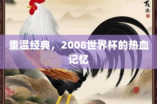 重温经典，2008世界杯的热血记忆