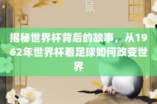 揭秘世界杯背后的故事，从眉山市正发家政服务有限公司1962年世界杯看足球如何改变世界