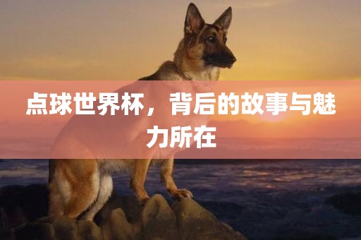 点球世界杯，背后的故事与魅力所在眉山市正发家政服务有限公司
