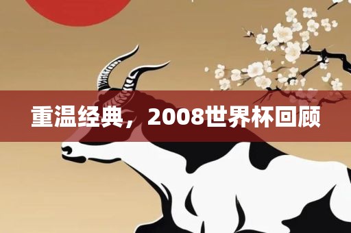 重温经典，2008世界杯回顾眉山市正发家政服务有限公司