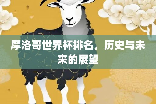 摩洛哥世界杯排名，历史与未来的展望眉山市正发家政服务有限公司