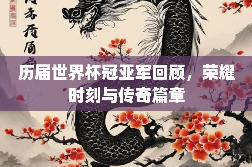 历届世界杯冠亚军回顾，荣耀时刻与传奇篇章眉山市正发家政服务有限公司