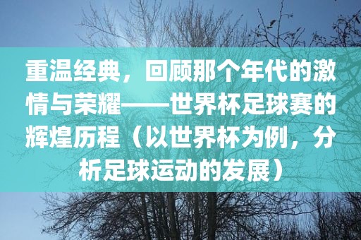 重温经典，回顾那个年代的激情与荣耀——世界杯足球赛的辉煌历程（以世界杯为例，分析足球运动的发展）眉山市正发家政服务有限公司