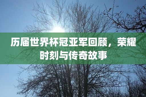 眉山市正发家政服务有限公司历届世界杯冠亚军回顾，荣耀时刻与传奇故事