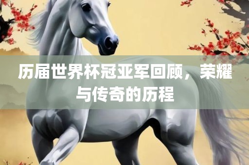 历届世界杯冠亚军回顾，荣耀与传奇的历程眉山市正发家政服务有限公司