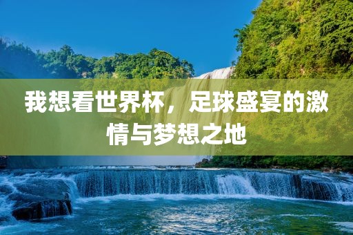 我想看世界杯，足球盛宴的激情与梦想之地眉山市正发家政服务有限公司