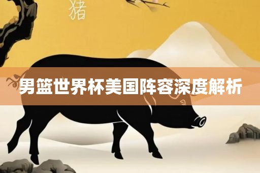 男篮世界杯美国阵容深度解析眉山市正发家政服务有限公司