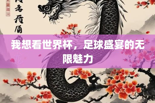 我想看世界杯，足球盛宴的无限魅力眉山市正发家政服务有限公司